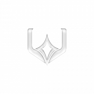 Logo Wazakiss Design sans fond
