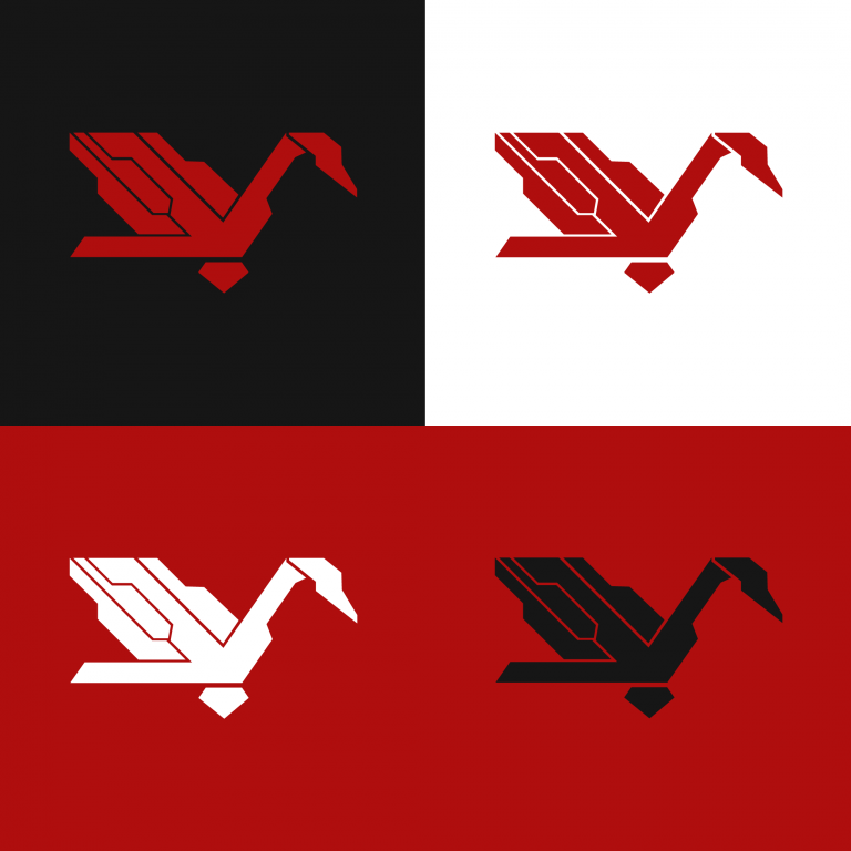 Logo Valencygne Esport | multi couleurs