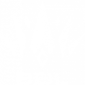 bbl-esports-logo