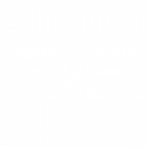 Logo Fire Flux Esport